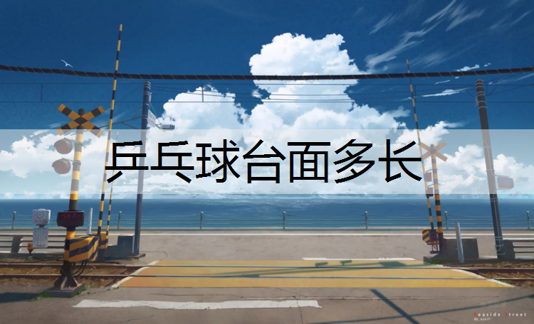 <strong>乒乓球台面多长</strong>