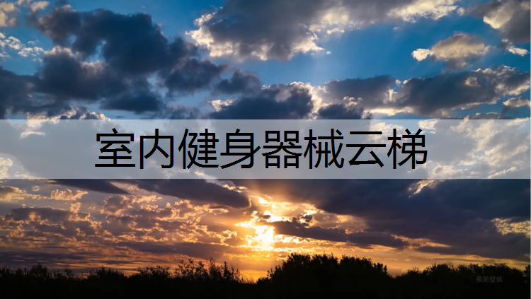 <strong>室内健身器械云梯</strong>