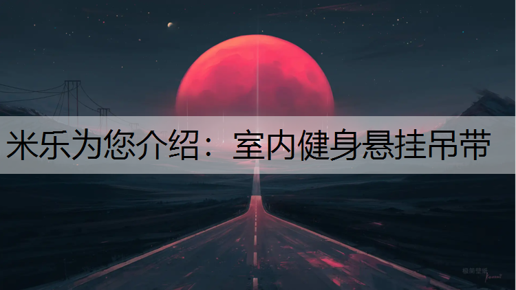 米乐为您介绍：室内健身悬挂吊带