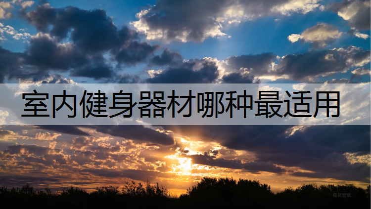 室内健身器材哪种最适用
