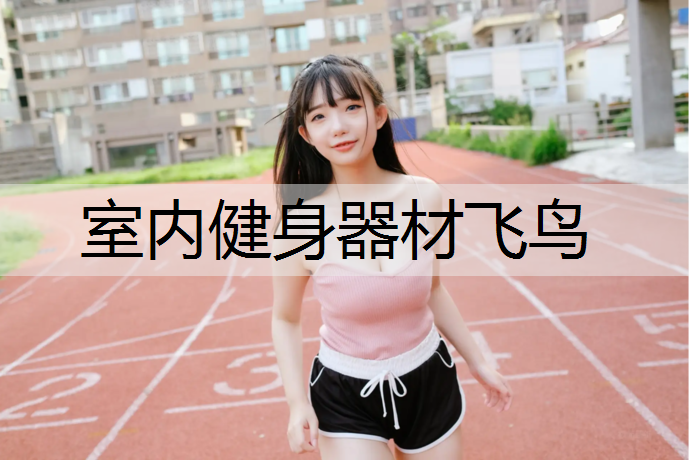 <strong>室内健身器材飞鸟</strong>