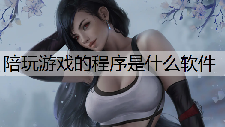 陪玩游戏的程序是什么软件