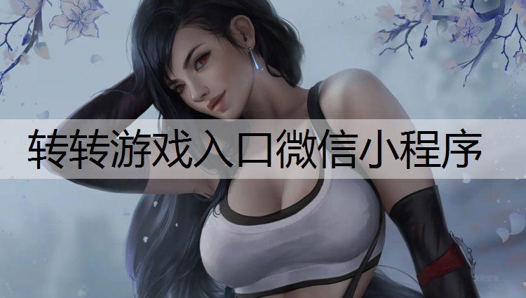 转转游戏入口微信小程序