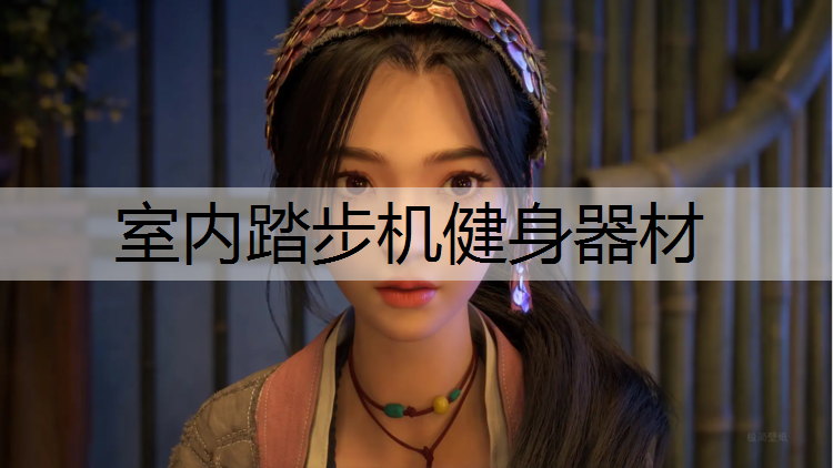 <strong>室内踏步机健身器材</strong>