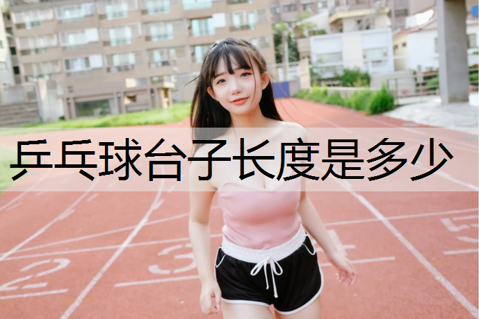 乒乓球台子长度是多少