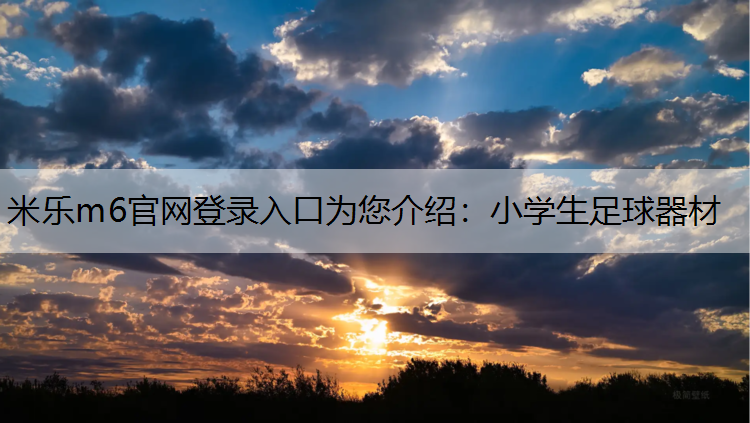 <strong>米乐m6官网登录入口为您介绍：小学生足球器材</strong>