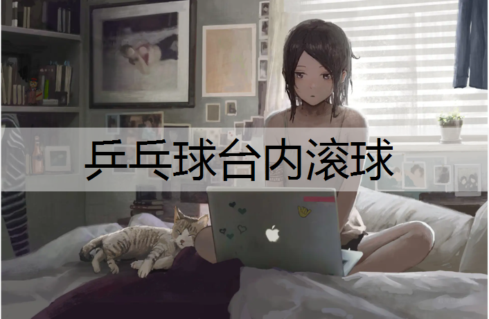 乒乓球台内滚球