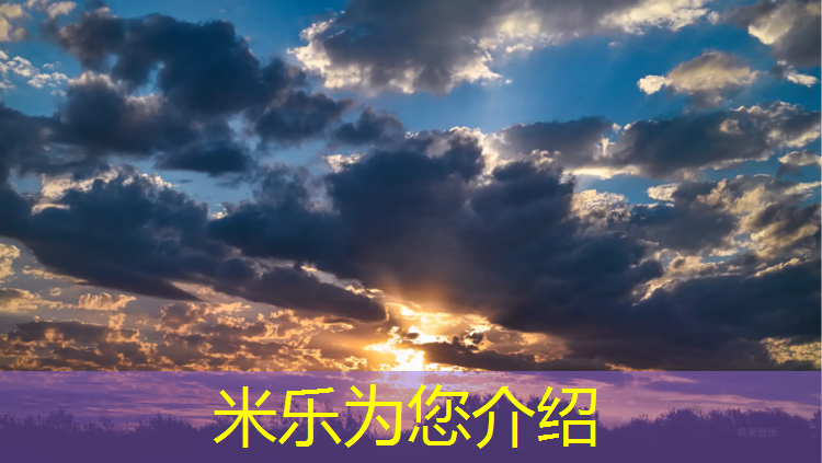 <strong>米乐：长岛塑胶跑道面料</strong>