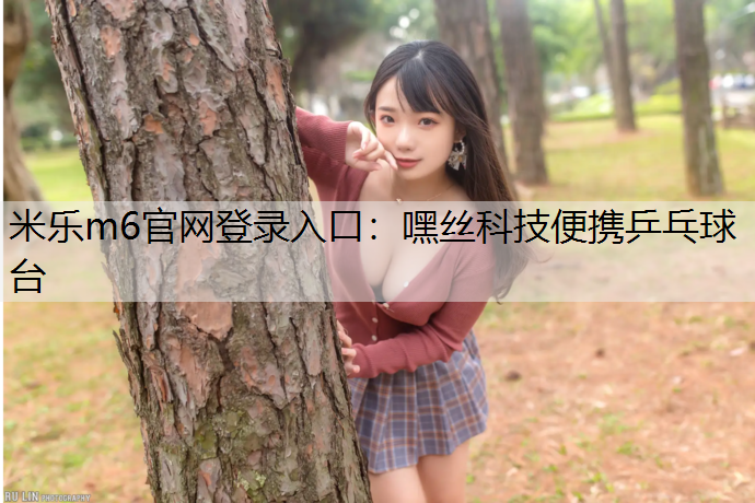 嘿丝科技便携乒乓球台