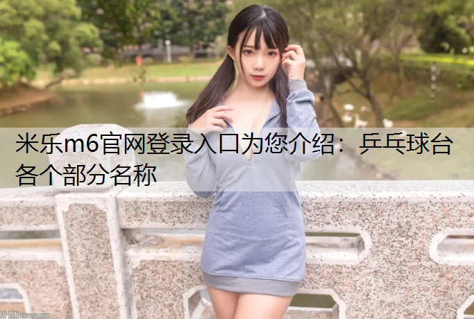 乒乓球台各个部分名称
