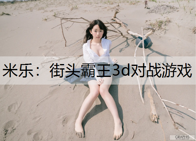 街头霸王3d对战游戏