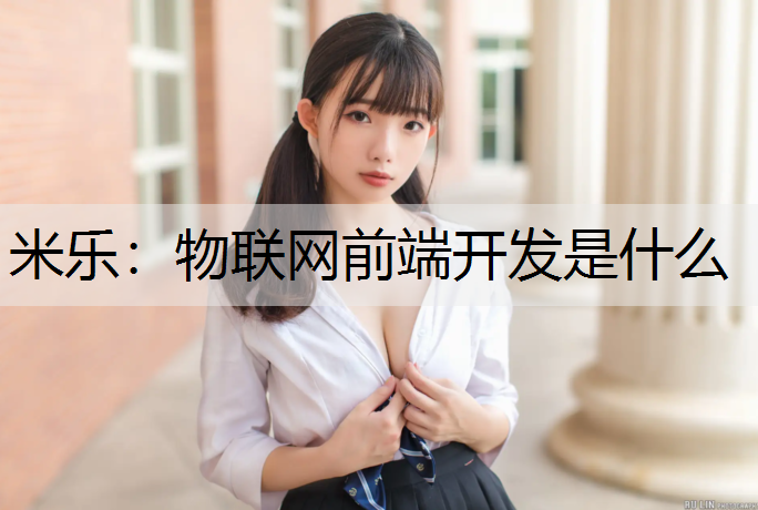 物联网前端开发是什么