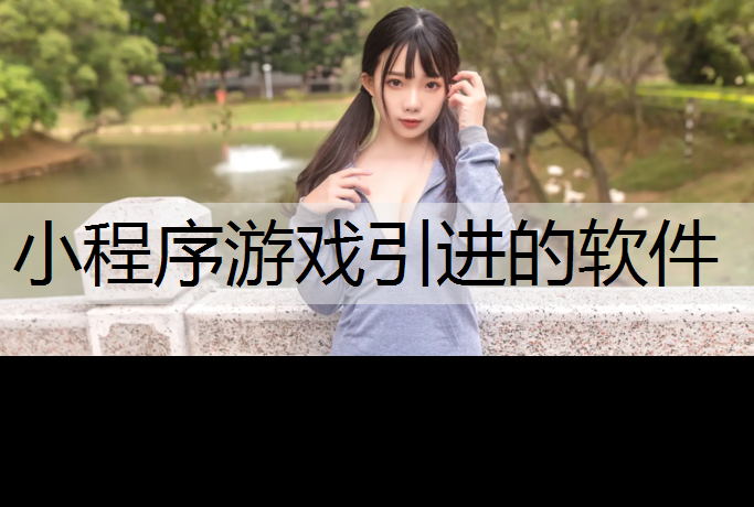 小程序游戏引进的软件
