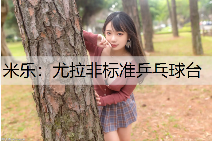 尤拉非标准乒乓球台