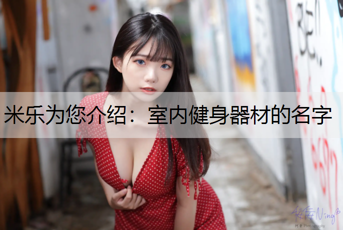 室内健身器材的名字