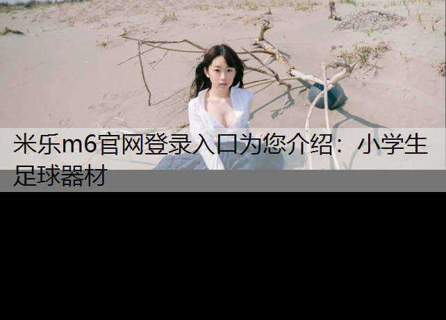 小学生足球器材