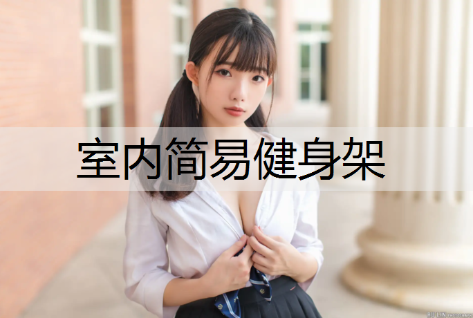 室内简易健身架